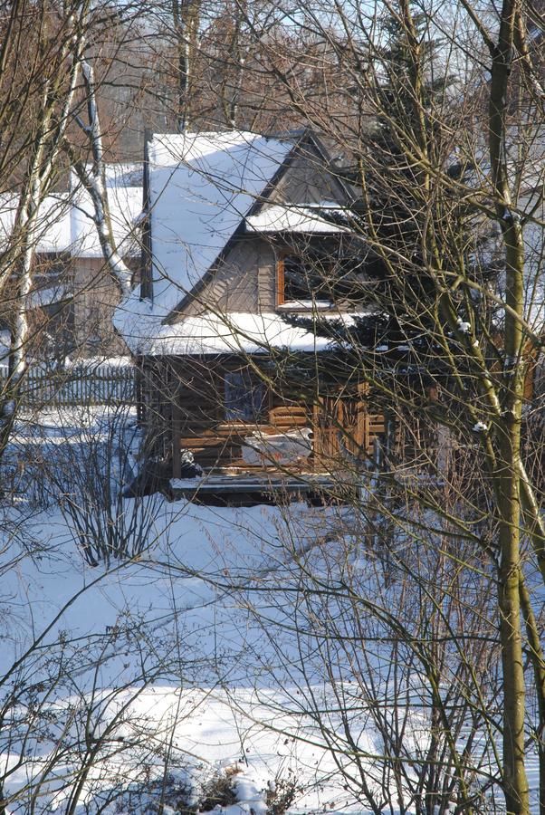 Дома для отпуска Dom drewniany Ozwa Gronków